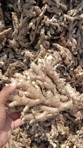 ఫోటో 2