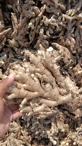ఫోటో 3