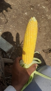 ఫోటో 3