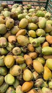 ഫോട്ടോ 2