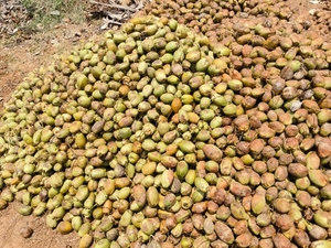 ഫോട്ടോ 3