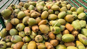 ഫോട്ടോ 4