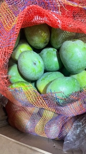 ಮಾವಿನಹಣ್ಣುಗಳು