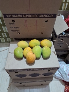 ഫോട്ടോ 2