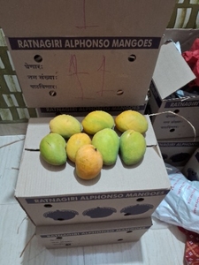 ഫോട്ടോ 3