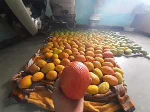മാമ്പഴം