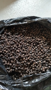 கருப்பு மிளகு