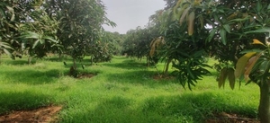 ఫోటో 2