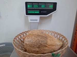 தேங்காய்