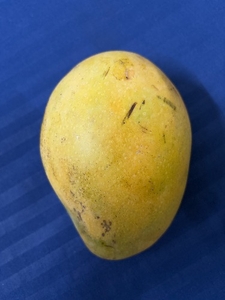 ಮಾವಿನಹಣ್ಣುಗಳು