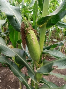 ഫോട്ടോ 2