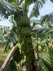 ఫోటో 2