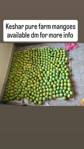 മാമ്പഴം