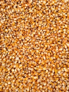 മക്ക