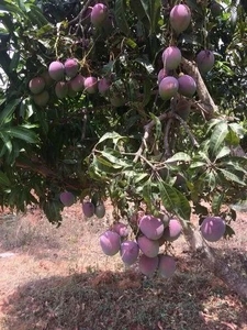 ಫೋಟೋ 2