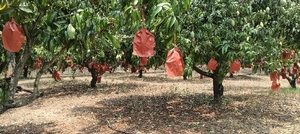 ഫോട്ടോ 3