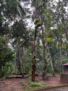 ಫೋಟೋ 2