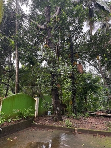 ಫೋಟೋ 3