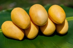 फोटो 3