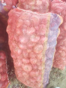 ಫೋಟೋ 3