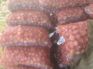 ಫೋಟೋ 4