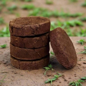 ಹಸುವಿನ ಸಗಣಿ