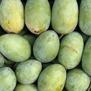 మామిడి