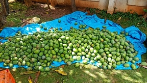 படம் 2