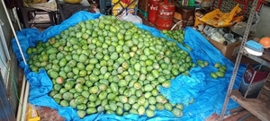 படம் 4