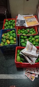 படம் 5