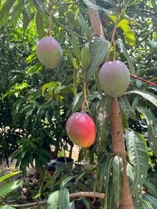 ഫോട്ടോ 3