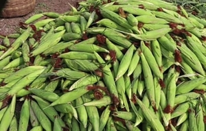 ഫോട്ടോ 3
