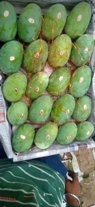 மாம்பழங்கள்