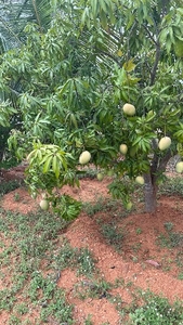 ഫോട്ടോ 2