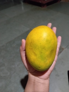 ഫോട്ടോ 2