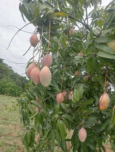 ഫോട്ടോ 3