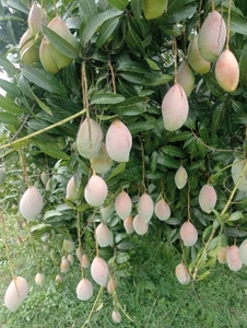 ഫോട്ടോ 5