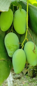 ಫೋಟೋ 2