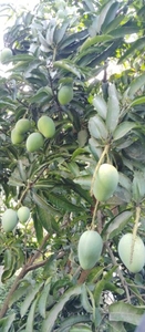 ಫೋಟೋ 4