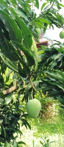 ಫೋಟೋ 5