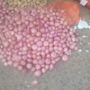 प्याज
