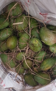 ಮಾವಿನಹಣ್ಣುಗಳು
