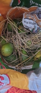 ఫోటో 2
