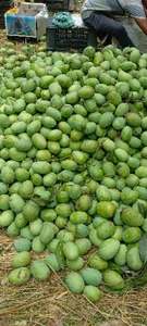 ఫోటో 2