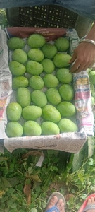 ఫోటో 3