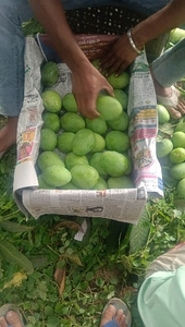 ఫోటో 4