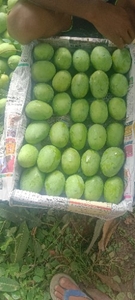 ఫోటో 5