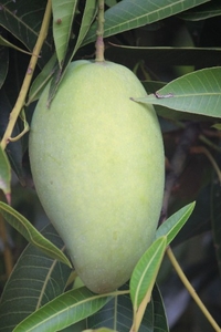 ಫೋಟೋ 2