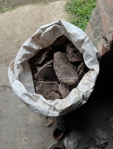 மாட்டு சாணம்