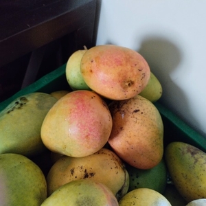ಮಾವಿನಹಣ್ಣುಗಳು